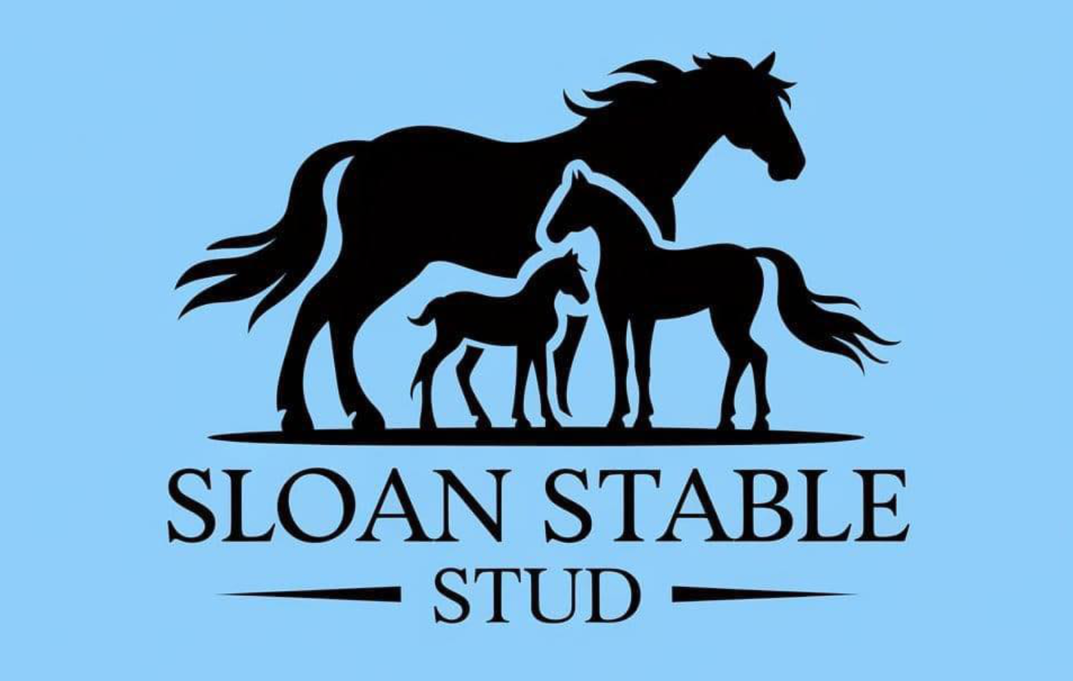 Sloan stable stud